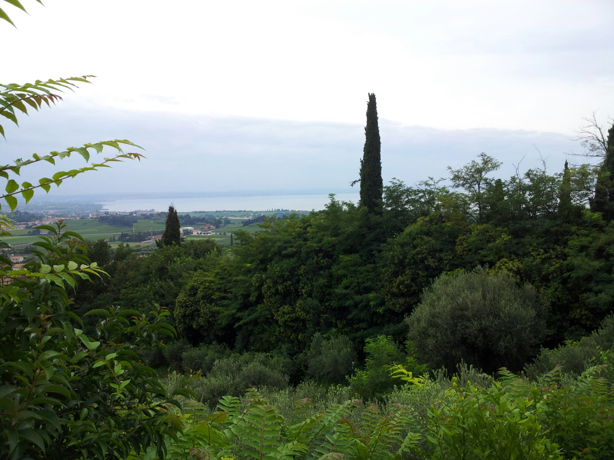 20140826_124730.jpg image